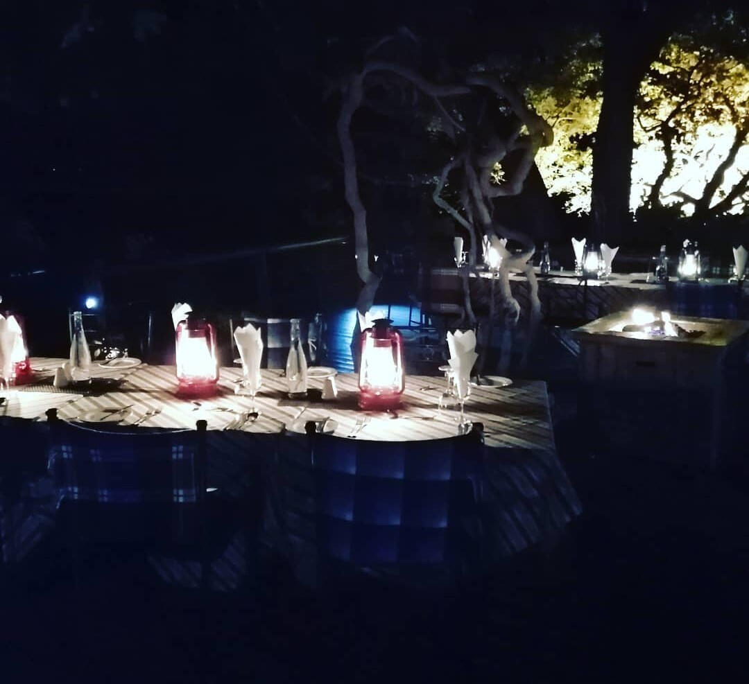 Dinner Setup